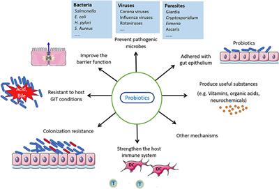 Frontiers | Modulatory Effects of Probiotics During Pathogenic 